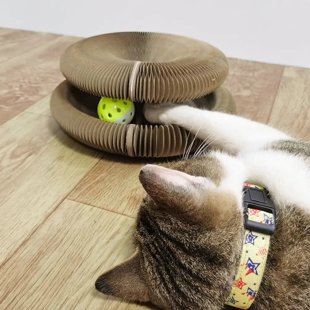 Cat Scratching Pad