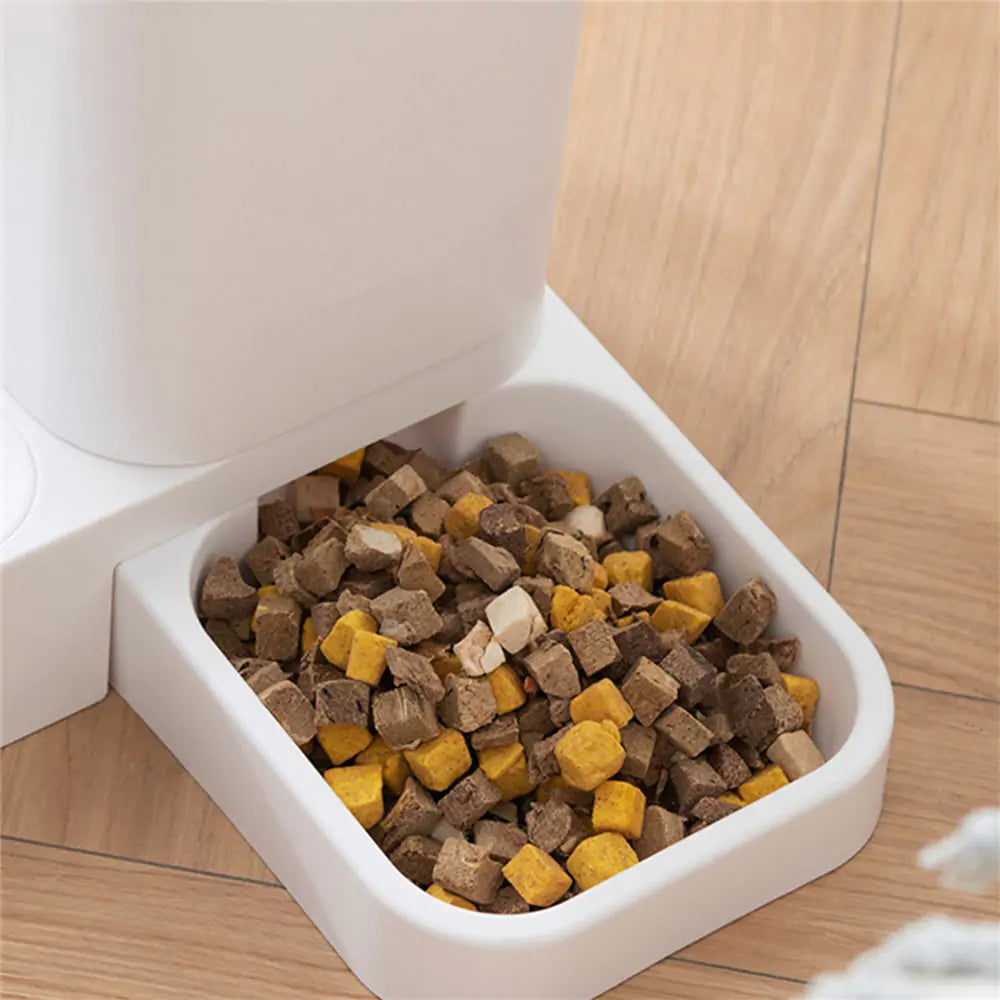 Automatic Pet Feeder